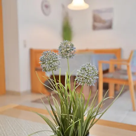 Schnabel Nr 4 * Dahme (Schleswig-Holstein)